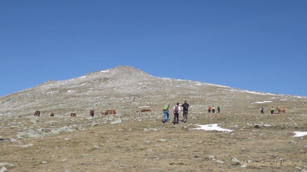 Camino de la cima del Puigpedrós, dicho pico al fondo
